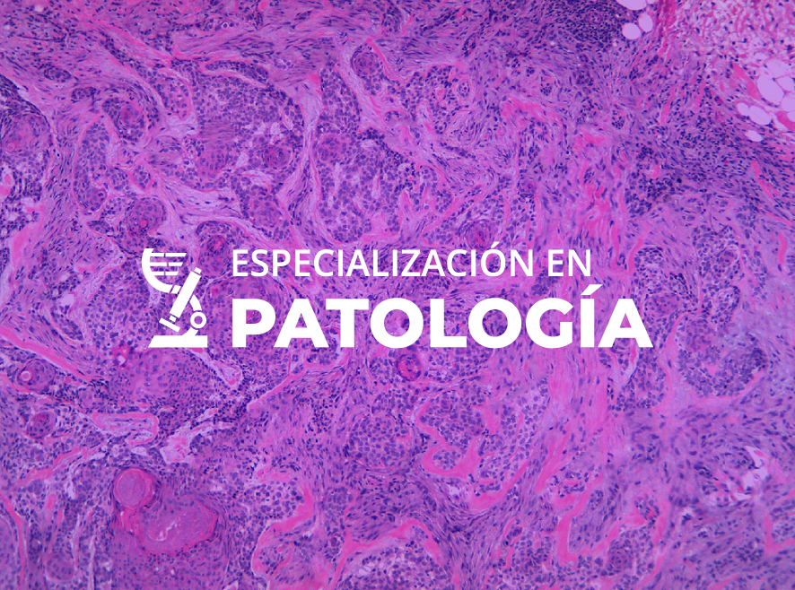 Especialización en Patología Uniandes