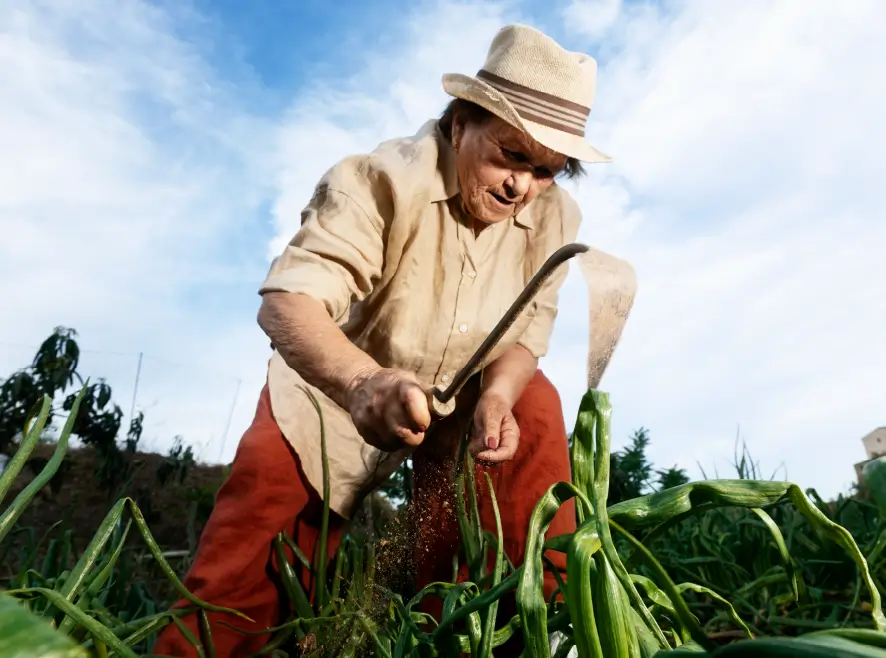 Doctorado en Estudios Interdisciplinarios sobre Desarrollo Uniandes