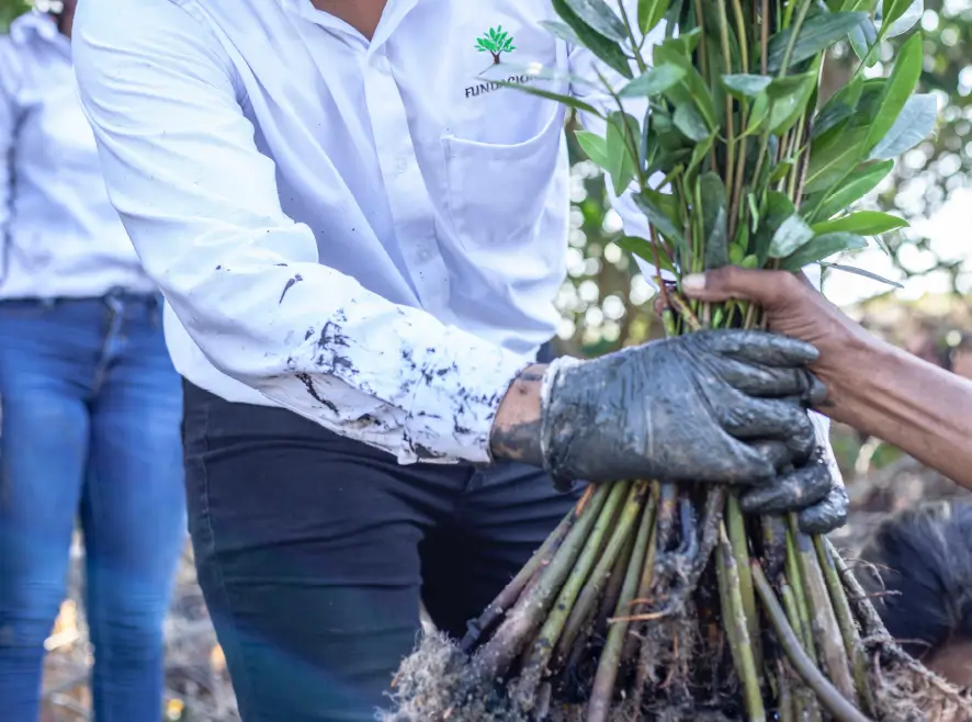 Especialización en Organizaciones, Responsabilidad Social y Desarrollo Uniandes