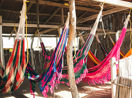 Maestría en Antropología Uniandes