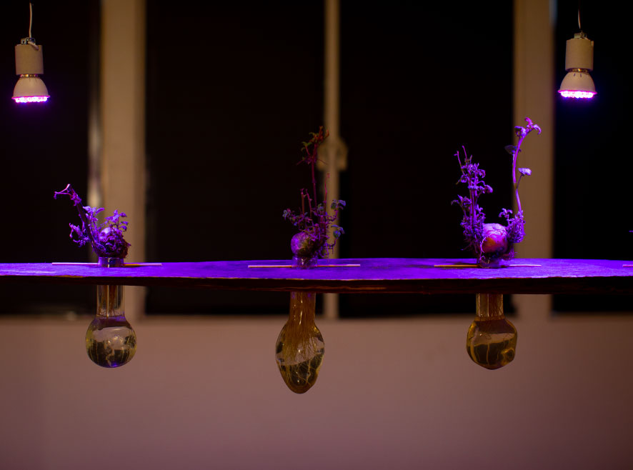 Maestría en Artes Plásticas, Electrónicas y del Tiempo Uniandes