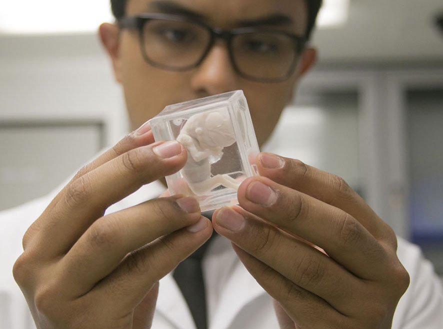 Doctorado en Biología Uniandes
