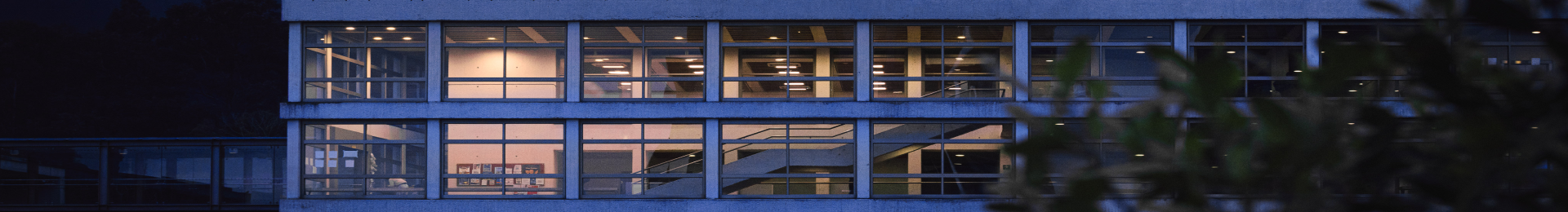 Intro apoyo y servicios financieros